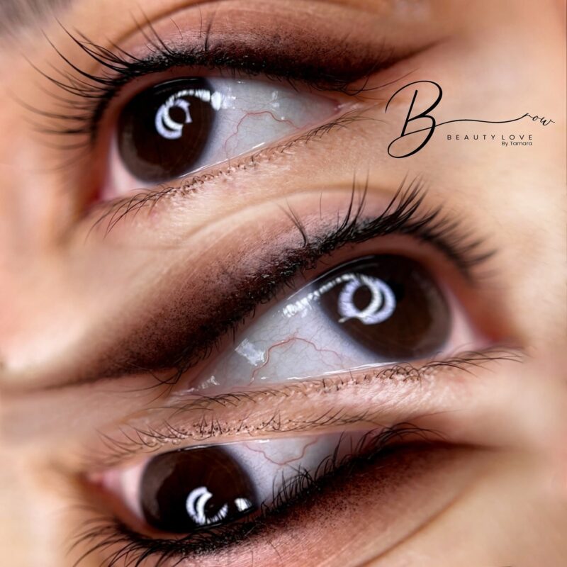 eyebrows