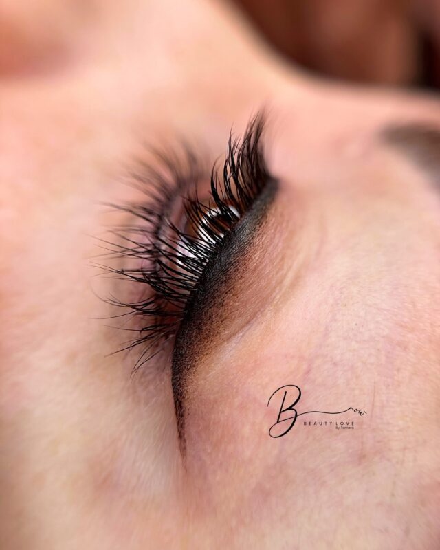 lash line